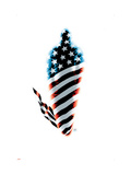 Fallen Son: The Death Of Captain America5 Cover: Captain America Prints by John Cassaday