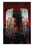 House of M: Masters of Evil 2 Cover: Wolverine Prints by Mike Perkins