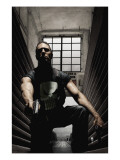Punisher #29 Cover: Punisher Plakat af Tim Bradstreet