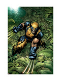 New Avengers 5 Cover: Wolverine Crouching Posters by David Finch