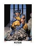 Wolverine Lithograph: Wolverine Lámina por Jim Lee Wolverine Lithograph: Wolverine Lámina por Jim Lee