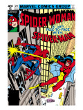 Spider-Woman 20 Cover: Spider Woman and Spider-Man Fighting Prints by Frank Springer