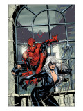 Marvel Knights Spider-Man 4 Cover: Spider-Man and Black Cat Poster by Terry Dodson