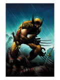 Wolverine #20 Cover: Wolverine Poster van John Romita Jr.