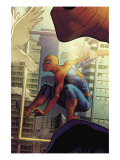 The Amazing Spider-Man 2 Cover: Spider-Man Prints by Stephane Roux