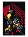 X-Men: Legacy 218 Cover: Punisher Poster von Mike Deodato Jr.