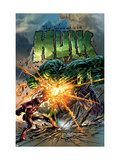 Incredible Hulk 71 Cover: Hulk and Iron Man Kunstdrucke von Mike Deodato Jr.