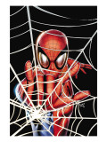 Spider-Man: Brand New Day - Extra!! #1 Cover: Spider-Man Charging Láminas por Greg Land