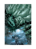 Incredible Hulk 70 Cover: Hulk Poster von Mike Deodato Jr.