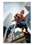 Amazing Spider-Man 520 Cover: Spider-Man Swimming Kunstdrucke von Mike Deodato