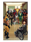 X-Men Origins: Wolverine 1 Group: Storm Prints by Texeira Mark