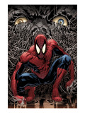 The Amazing Spider-Man 553 Cover: Spider-Man Posters by Phil Jimenez
