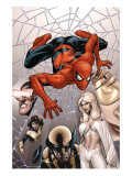 Marvel Knights Spider-Man 6 Cover: Spider-Man Prints by Terry Dodson