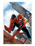 The Amazing Spider-Man #546 Cover: Spider-Man Láminas por Steve MCNiven The Amazing Spider-Man #546 Cover: Spider-Man Láminas por Steve MCNiven