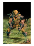Wolverine Origins #37 Cover: Wolverine Plakater av Doug Braithwaite