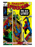 Amazing Spider-Man 89 Cover: Spider-Man and Doctor Octopus Art by Gil Kane