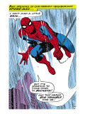 Marvel Comics Retro: The Amazing Spider-Man Comic Panel Julisteet Marvel Comics Retro: The Amazing Spider-Man Comic Panel Julisteet