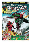 Marvel Comics Retro: The Amazing Spider-Man Comic Book Cover #122, the Green Goblin's Last Stand! Poster
