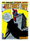 Marvel Comics Retro: The Amazing Spider-Man Comic Panel, the Vulture's Prey Kunst
