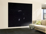 A Small Group of Galaxies known as the Leo Triplet Wall Mural – Large