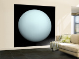 Planet Uranus Wall Mural – Large