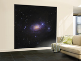 Sunflower Galaxy Wall Mural – Large
