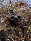 A Scout Observer Practices Observation Techniques Using a Homemade Ghillie Suit Photographic Print A Scout Observer Practices Observation Techniques Using a Homemade Ghillie Suit Photographic Print