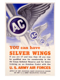 WWII AAF 'You Can Have Silver Wings' Poster Poster