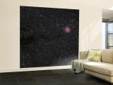 Cocoon Nebula Wall Mural – Large Cocoon Nebula Wall Mural – Large