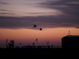 A Pair of UH-60 Black Hawk Helicopters Approach their Landing in Baghdad, Iraq Photographic Print