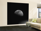 Gibbous Moon Wall Mural – Large Gibbous Moon Wall Mural – Large