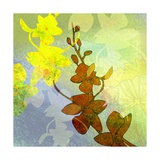 Orchids Inspired Giclee Print by Jan Weiss