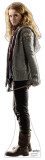 Harry Potter and the Deathly Hallows - Hermione Granger Stand Up