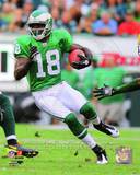 Jeremy Maclin 2010 Action Photo