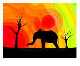 Elephant Silhouette Photographic Print by Chris Harvey