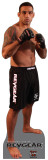 MMA Fighters - Werdum PAPPFIGUREN IN LEBENSGRÖSSE