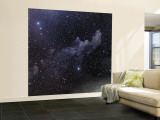 Witch Head Nebula Wall Mural – Large Witch Head Nebula Wall Mural – Large