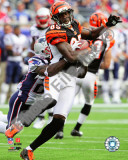 Chad Ochocinco 2010 Action Photo