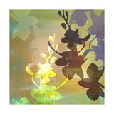 Floral Shadows Lámina giclée por Jan Weiss