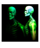Man Bone 28 Photographic Print by Chris Harvey
