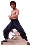 Bruce Lee Stand Up