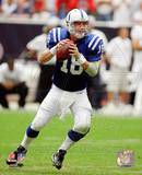 Peyton Manning 2010 Action Photo
