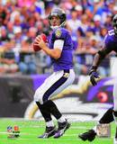 Joe Flacco 2010 Action Photo