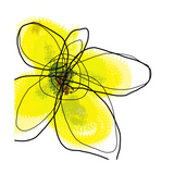 Yellow Petals 1 Gicléedruk van Jan Weiss