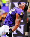 Ray Lewis 2010 Action Photo Ray Lewis 2010 Action Photo