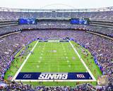 New Meadowlands Stadium 2010 (Giants) Photo