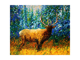 Alaskan Elk Giclee Print by Megan Aroon Duncanson