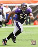 Ray Lewis 2010 Action Photo