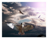Up And Away Photographic Print by Bill Stephens