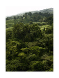 Green Photographic Print by John Gusky